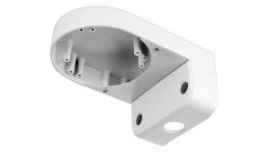 D-Link Outdoor Dome Camera Wall Mount