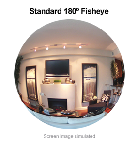 Standard 180 Fisheye