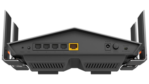 Back View